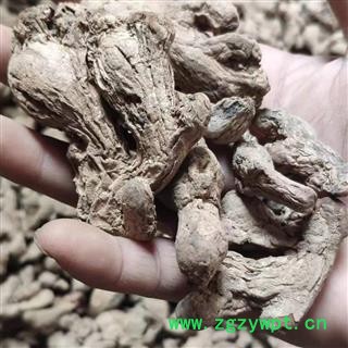 炮姜 统 产地 广西壮族自治区