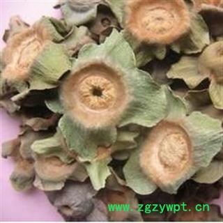 精品老柿蒂选货 质量好 价格低 规格齐全   产地 山东省图2