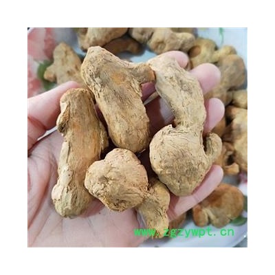 炮姜 炮姜 产地 云南省