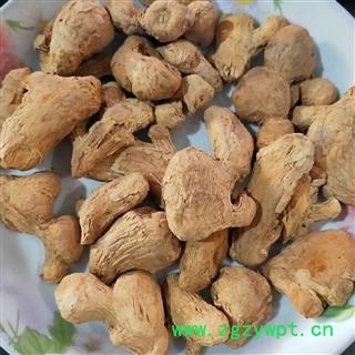 炮姜 炮姜 产地 云南省图2