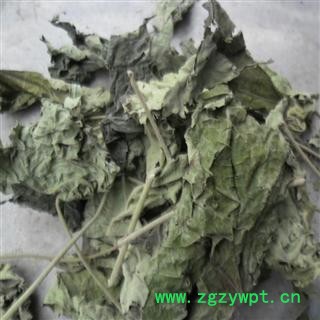 精品芙蓉叶统货 质量好 价格低  产地直销 产地 四川省图2