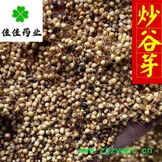 谷芽 炒谷芽 质量高 产地直销 产地 山东省图2