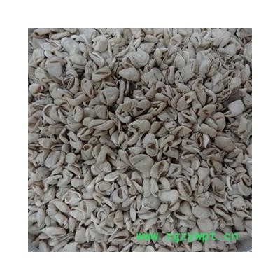 扁豆衣 统 产地 玉林药市 库存 100公斤可售 买家承担运费