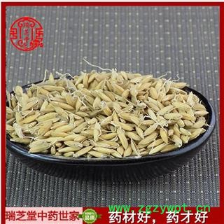 稻芽统货 谷芽 生稻芽 中药材 瑞芝堂产地直销1000g药典正品 规格齐全 一站购齐图3