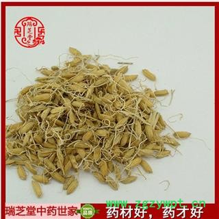 稻芽统货 谷芽 生稻芽 中药材 瑞芝堂产地直销1000g药典正品 规格齐全 一站购齐图2