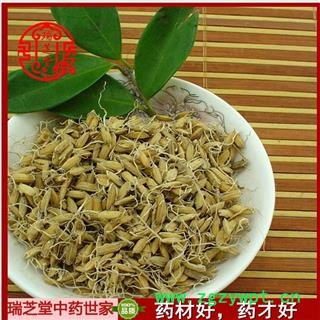 稻芽统货 谷芽 生稻芽 中药材 瑞芝堂产地直销1000g药典正品 规格齐全 一站购齐图4