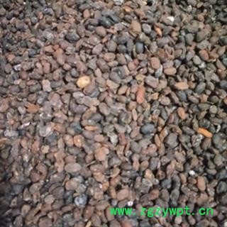 安祁名药优质淡豆豉 黑豆豉图3