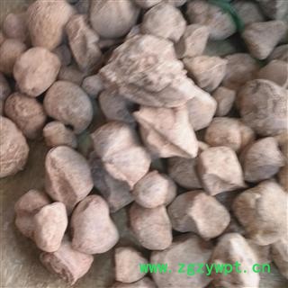 安祁名药石燕  燕石子 燕子石 水飞石图2