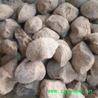 安祁名药石燕  燕石子 燕子石 水飞石图3