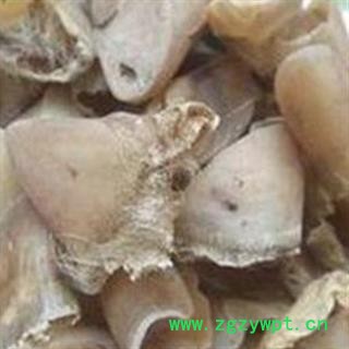 中药材 猪蹄甲 生猪蹄甲 优质 促销图2