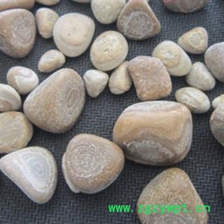 京辉药业正品 马宝 鲊荅、马结石 优质促销各种冷备中草药图2