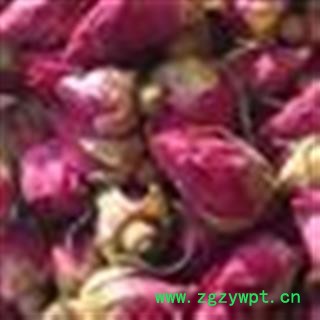 玫瑰花 山东玫瑰王 产地 山东省菏泽市成武县图2