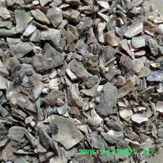 石决明 统 产地 山东省图2