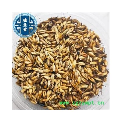 炒麦芽 麦芽 新货 【康生堂】品质保障 产地 山东省
