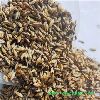 炒麦芽 麦芽 新货 【康生堂】品质保障 产地 山东省图3