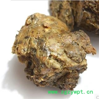 煜庭药业 阿魏 五彩阿魏图2