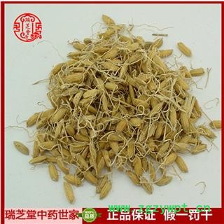 谷芽统货 稻芽 中药材 生稻牙 瑞芝堂产地直销1000g规格齐全 一站购齐图2