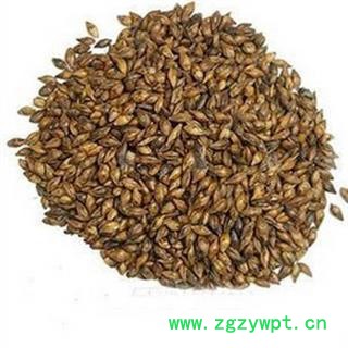 安祁名药麦芽 大麦芽  炒麦芽  另有焦麦芽图2