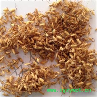 安祁名药稻芽  谷芽 统 产地 山东省图2