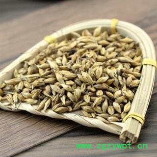 【特级】秦岭农家炒大麦芽 熟麦芽大麦茶大麦芽焦麦芽大麦糵大麦毛 山民自捋自炒晒干1000g图2