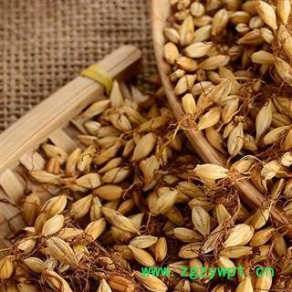 【特级】秦岭农家炒大麦芽 熟麦芽大麦茶大麦芽焦麦芽大麦糵大麦毛 山民自捋自炒晒干1000g图4