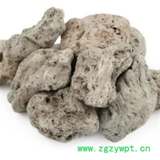 安祁名药海藻石  海浮石图2