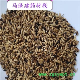 麦芽 炒麦芽统货 产地 山东省图2