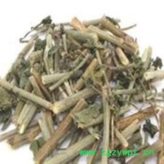 小丽百草行百花丹 白花丹 山坡芩 假茉莉 千里及 乌面马、白雪花图2