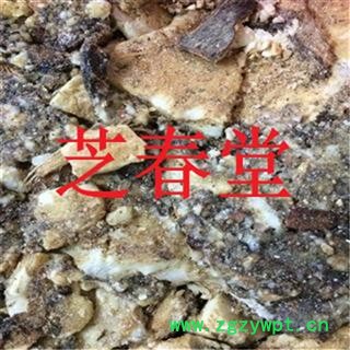 芝春堂 安息香 野茉莉 白花榔 拙贝罗香 正品药店诊所专供图4