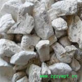 小丽百草行 花龙骨  五花龙骨 块图2