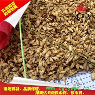 麦芽 生麦芽 98以上发芽率 产地 河南省安阳市文峰区图2