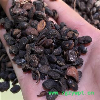 新辉药业正品淡豆豉 豆豉 杜豆豉图2