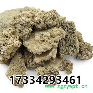 人中白 （别称-溺白垽 溺垽 白秋霜 秋白霜 粪霜 尿壶垢 尿干子）图3