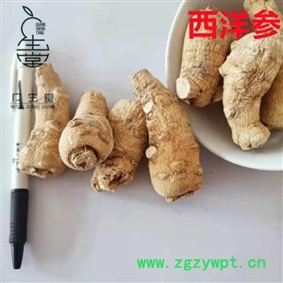 产地直销 西洋参【广生堂中药材】批发零售中药材西洋参500g一手货源图3