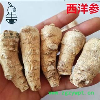 产地直销 西洋参【广生堂中药材】批发零售中药材西洋参500g一手货源图2