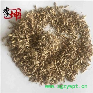 【99包邮】麦芽 统货 四川产【良心经营 品种齐全】图2