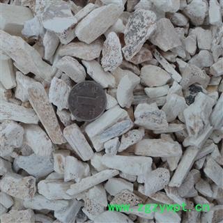 龙骨 产地 宁夏回族自治区 凯捷中药图2