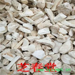 批发矿石中药材 精选水洗龙骨 碎龙骨 龙骨粒大量批发量现货供应图3