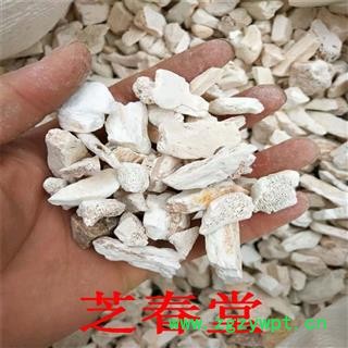 批发矿石中药材 精选水洗龙骨 碎龙骨 龙骨粒大量批发量现货供应图2