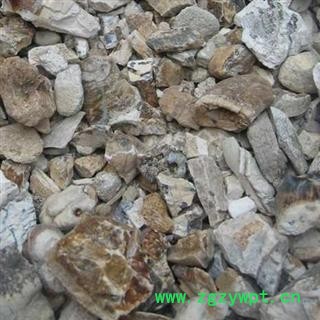 圣草康园中药材龙齿 青龙齿 青龙齿块图4