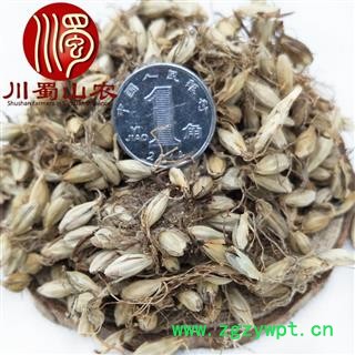 麦芽无硫统货散装1公斤起批产地直供炒麦芽川蜀山农中药材批发图2