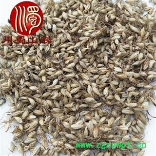 麦芽无硫统货散装1公斤起批产地直供炒麦芽川蜀山农中药材批发图4