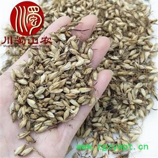 麦芽无硫统货散装1公斤起批产地直供炒麦芽川蜀山农中药材批发图3