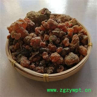 没药 明没药图4