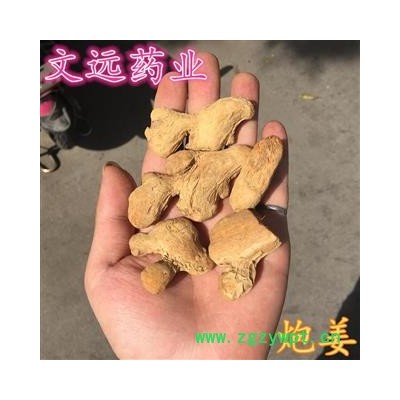 炮姜 大个头炮姜 产地 四川省