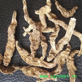 小丽百草行起阳草 云南苗家滋补图2