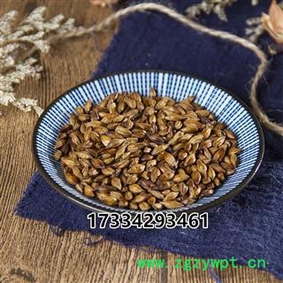 中药材 新货炒麦芽7元  焦麦芽12元图2