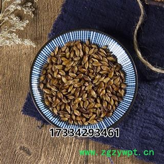 中药材 新货炒麦芽7元  焦麦芽12元图3