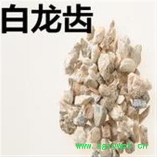 小丽百草行中药材龙齿 白龙齿  产地宁夏图3