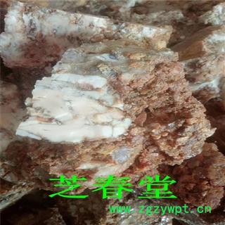 五彩阿魏 阿魏树脂 臭阿魏 细叶阿魏 批发零售图2